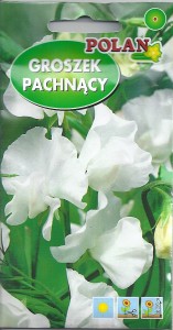 Groszek pachnący  biały 3g ( Lathyrus odoratus) nasiona 