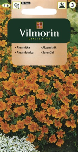 vilmorin zdjęcia 013.jpg