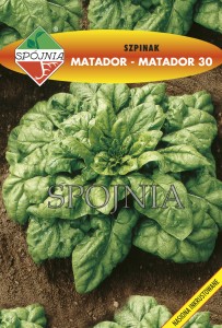 Szpinak Matador 20g nasiona  