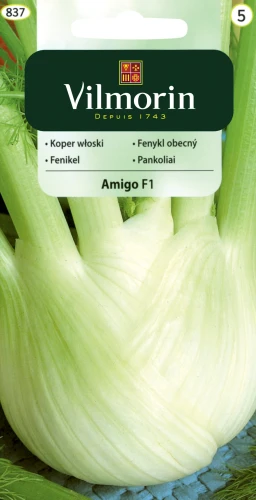 koper włoski fenkuł Fino