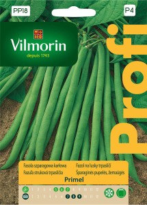 Fasola szparagowa Primel 30g nasiona