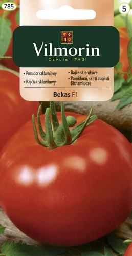 pomidor Bekas F1 szklarniowy