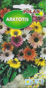 Arktotis / Niedżwiedzie Ucho mix 0,5g (Arctotis hybrida ) nasiona  