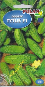 Ogórek Tytus F1 korniszon 3g nasiona  
