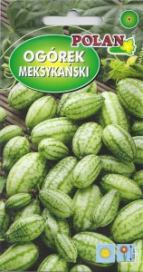 Ogórek Meksykański 10 nasion