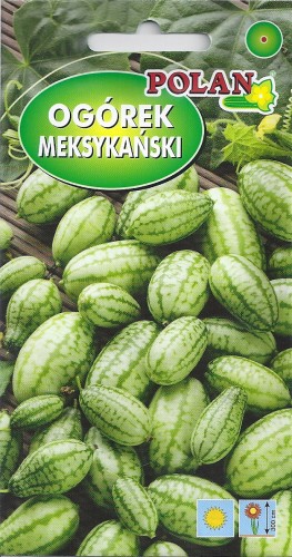 ogórek meksykański.jpg