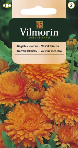 vilmorin zdjęcia 245.jpg