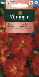 Kosmos Diablo,Onętek siarkowy  1g (Cosmos sulphureus ) nasiona 