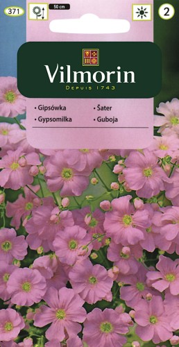 vilmorin zdjęcia 168.jpg