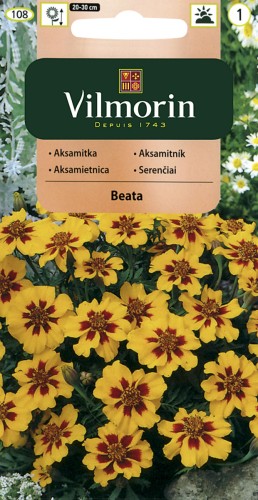 vilmorin zdjęcia 006.jpg