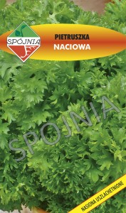 Pietruszka liściowa/naciowa Moss curled 2 5g nasiona 