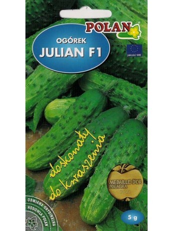 ogorek-kwaszeniak-julian-f1.jpg