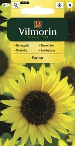 Słonecznik ozdobny Pacino 0,5g (Helianthus annuus ) nasiona 