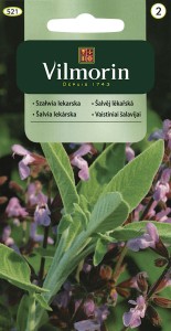 Szałwia lekarska 1g nasiona  