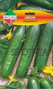 Ogórek szklarniowy Orion F1 1g nasiona
