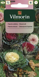 Kapusta ozdobna mix 0,1g (Brassica oleracea) nasiona   