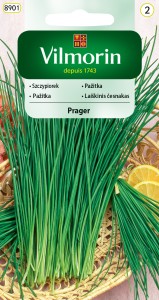 Szczypiorek Prager 2g  nasiona