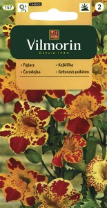 Figlarz,Kroplik 0,3g (Mimulus tigrinus grandiflorus) nasiona