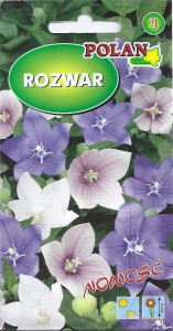 Rozwar wielkokwiatowy mix 0,2g (Platycodon grandiflorus)nasiona  