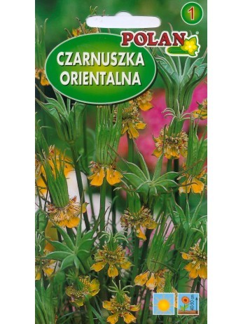 czarnuszka-orientalna.jpg
