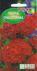 Firletka chalcedońska 0,5g (Lychnis chalcedonica) nasiona   