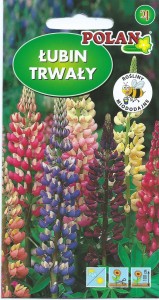 Łubin trwały mix 2g ( Lupinus polyphyllus Russell's) nasiona 
