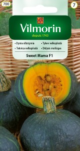 Dynia olbrzymia Sweet Mama F1 7 nasion