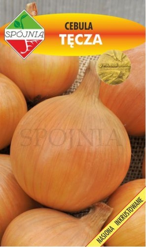 cebula wczesna Tęcza Spójnia.jpg