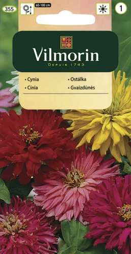 Cynia wytworna kaktusowa (Zinnia cactaflora) 1g nasion