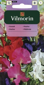 Groszek pachnący mix 5g (Lathyrus odoratus)