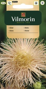 Aster chiński  igiełkowy łososiowy 0,5g nasiona (callistephus chinensis)