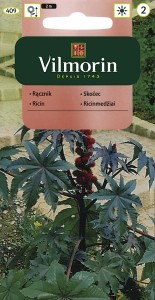 Rącznik czerwonolistny  /Kasztanowiec/Palma Christi /Rycynowiec 2g (Ricinus communis corgifolium) 