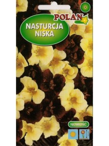 Nasturcja niska/karłowa Night&Day 2g (Tropaeolum majus ) nasiona 