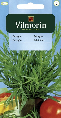 vilmorin zdjęcia 235.jpg