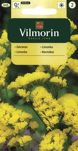 Zatrwian letni / wrębny żółty  0,2g (Limonium sinuatum Pacific) nasiona  otarte  