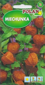 Miechunka rozdęta 0,5g (Physalis alkekengi) nasiona  