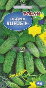 Ogórek Rufus F1 korniszon  3g nasiona    