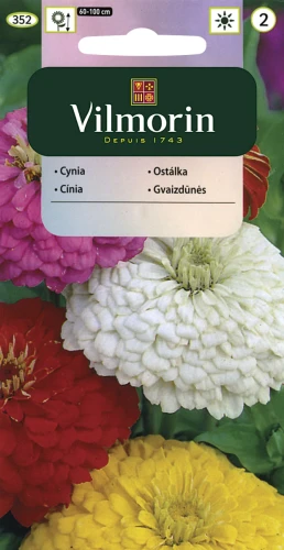 Cynia wytworna daliowa (Zinnia elegans) mix 1g nasion