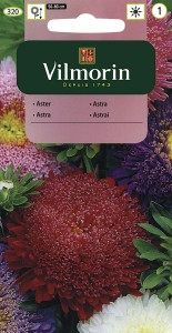 Aster chiński książęcy mix 1g nasiona (Callistephus chinensis)      