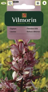 Dyptam,Krzew Mojżesza 0,2g ( Dictamnus faxinella) nasiona 