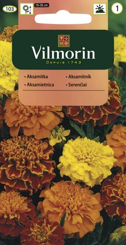 vilmorin zdjęcia 002.jpg