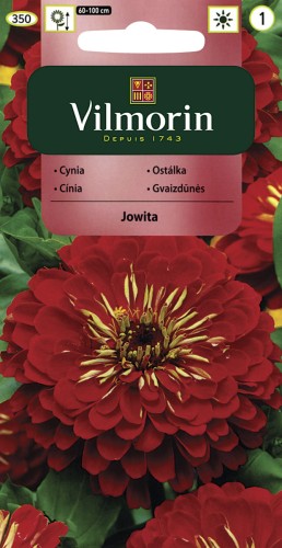 vilmorin zdjęcia 155.jpg