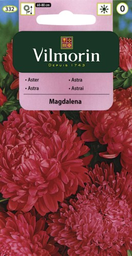 vilmorin zdjęcia 142.jpg