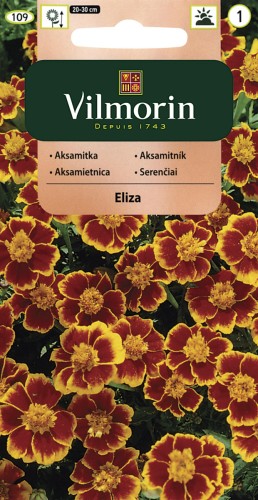 vilmorin zdjęcia 007.jpg