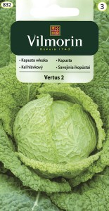 Kapusta włoska póżna Vertus 2  2g nasiona