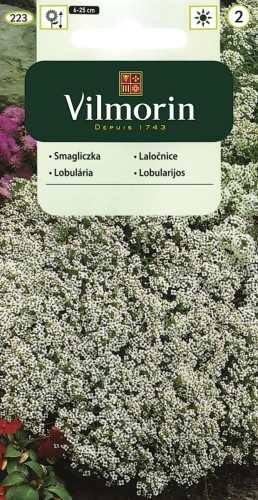 vilmorin zdjęcia 096.jpg