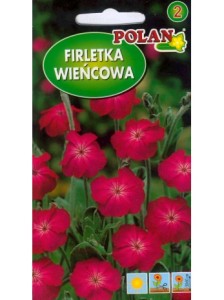 Firletka wieńcowa  0,5g (Lychnis coronaria) nasiona 