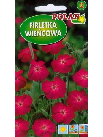 firletka-wiencowa.jpg