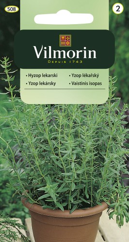 vilmorin zdjęcia 236.jpg