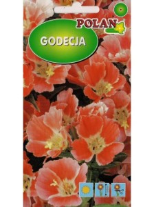 Godecja Orange Glory /marszawa,azalia letnia 1g ( Godetia grandiflora fl.pl.) nasiona 